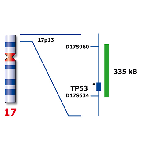 IVD DLEU1/TP53 製品画像 Side View L